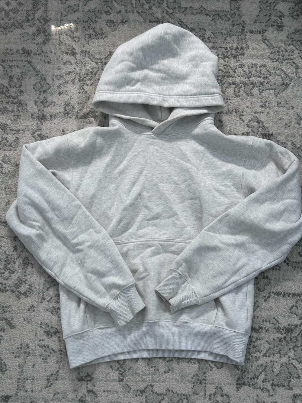 Aritzia cozy fleece hoodie - Heather grey